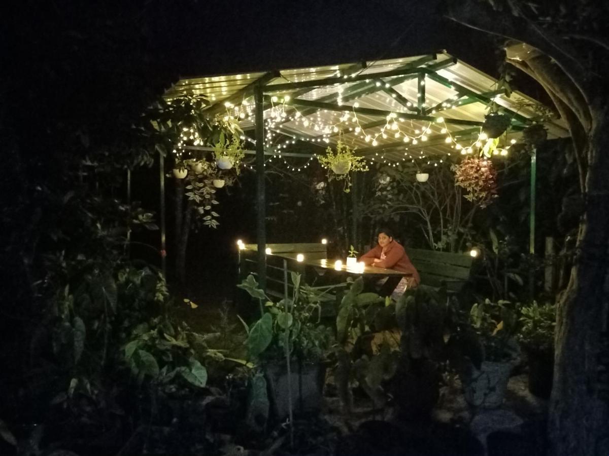 Silver Spruce Entire Nature Villa קוטאגירי מראה חיצוני תמונה