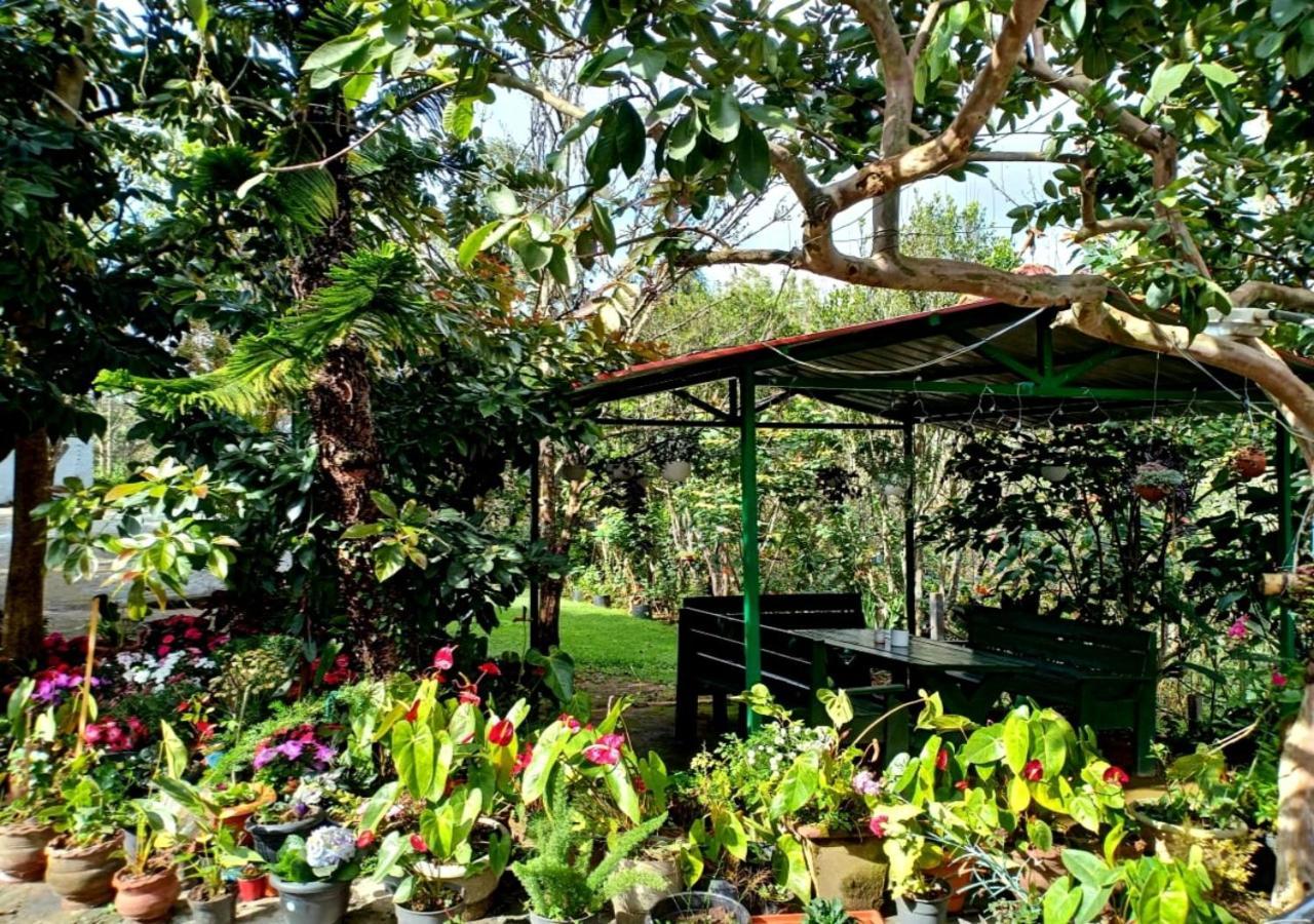 Silver Spruce Entire Nature Villa קוטאגירי מראה חיצוני תמונה