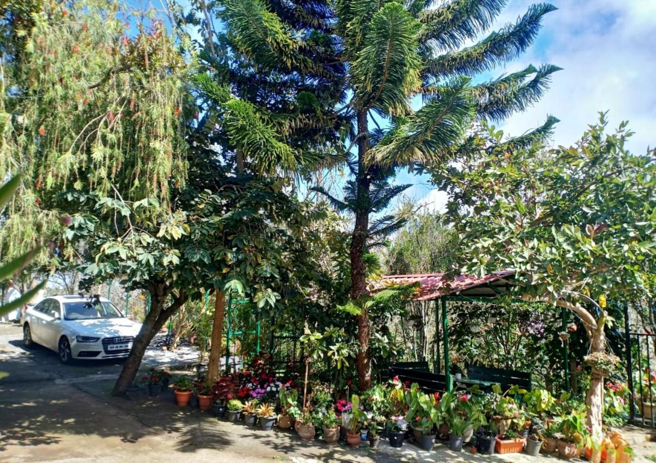 Silver Spruce Entire Nature Villa קוטאגירי מראה חיצוני תמונה