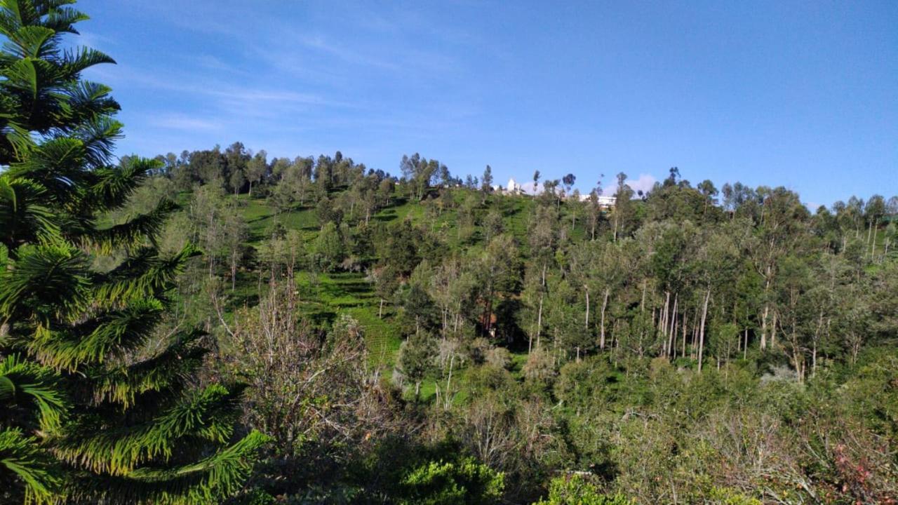Silver Spruce Entire Nature Villa קוטאגירי מראה חיצוני תמונה