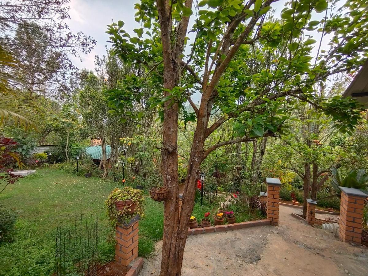 Silver Spruce Entire Nature Villa קוטאגירי מראה חיצוני תמונה