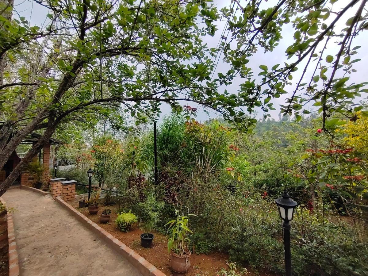 Silver Spruce Entire Nature Villa קוטאגירי מראה חיצוני תמונה