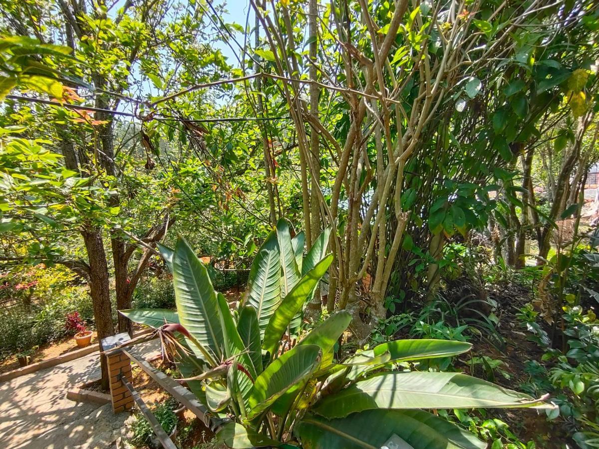 Silver Spruce Entire Nature Villa קוטאגירי מראה חיצוני תמונה