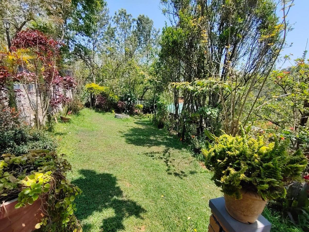 Silver Spruce Entire Nature Villa קוטאגירי מראה חיצוני תמונה