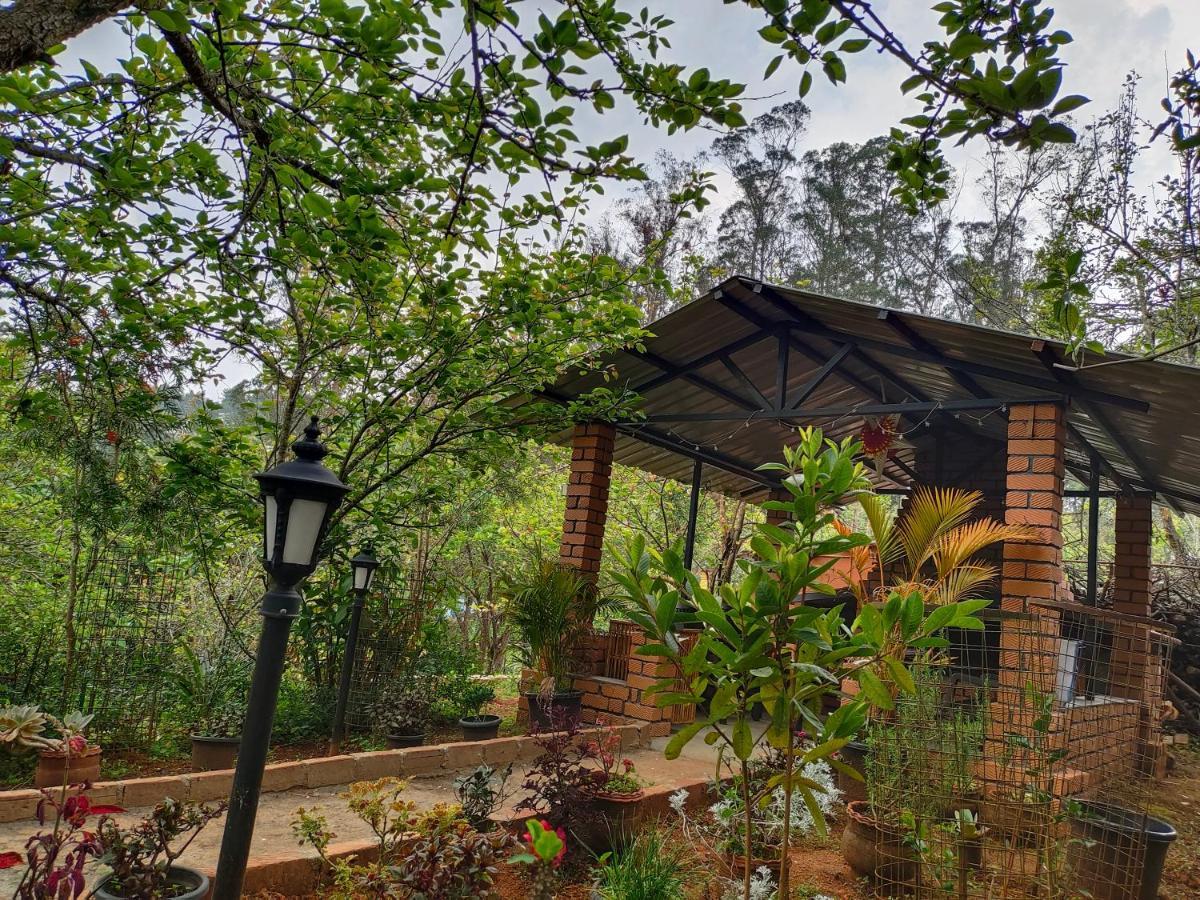 Silver Spruce Entire Nature Villa קוטאגירי מראה חיצוני תמונה