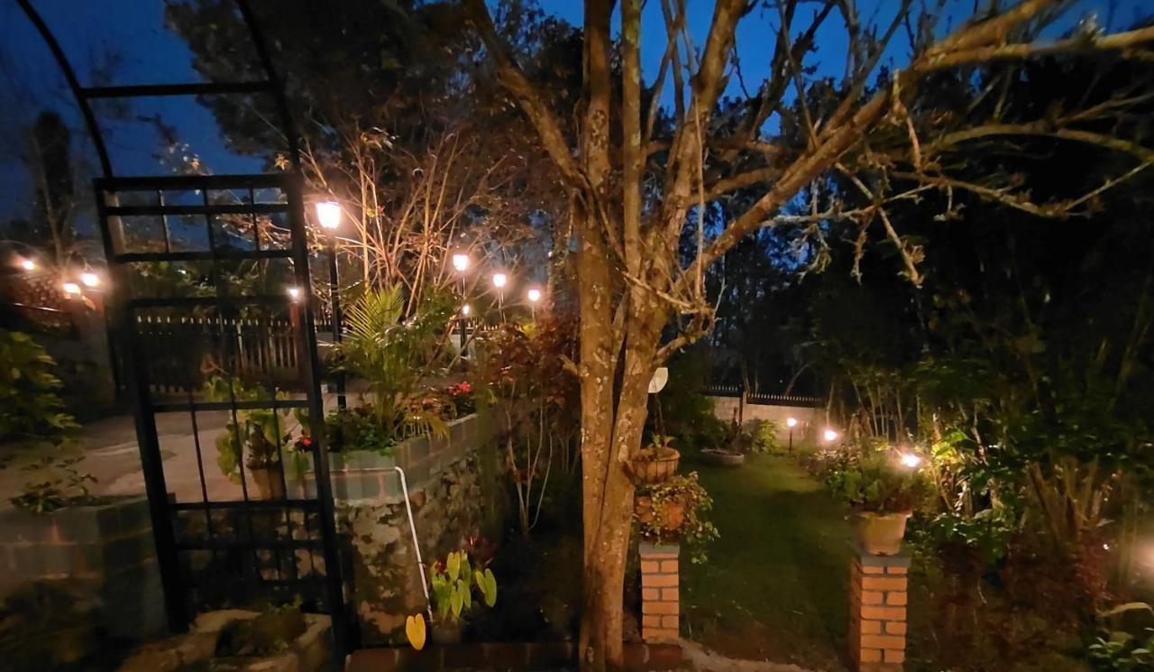 Silver Spruce Entire Nature Villa קוטאגירי מראה חיצוני תמונה