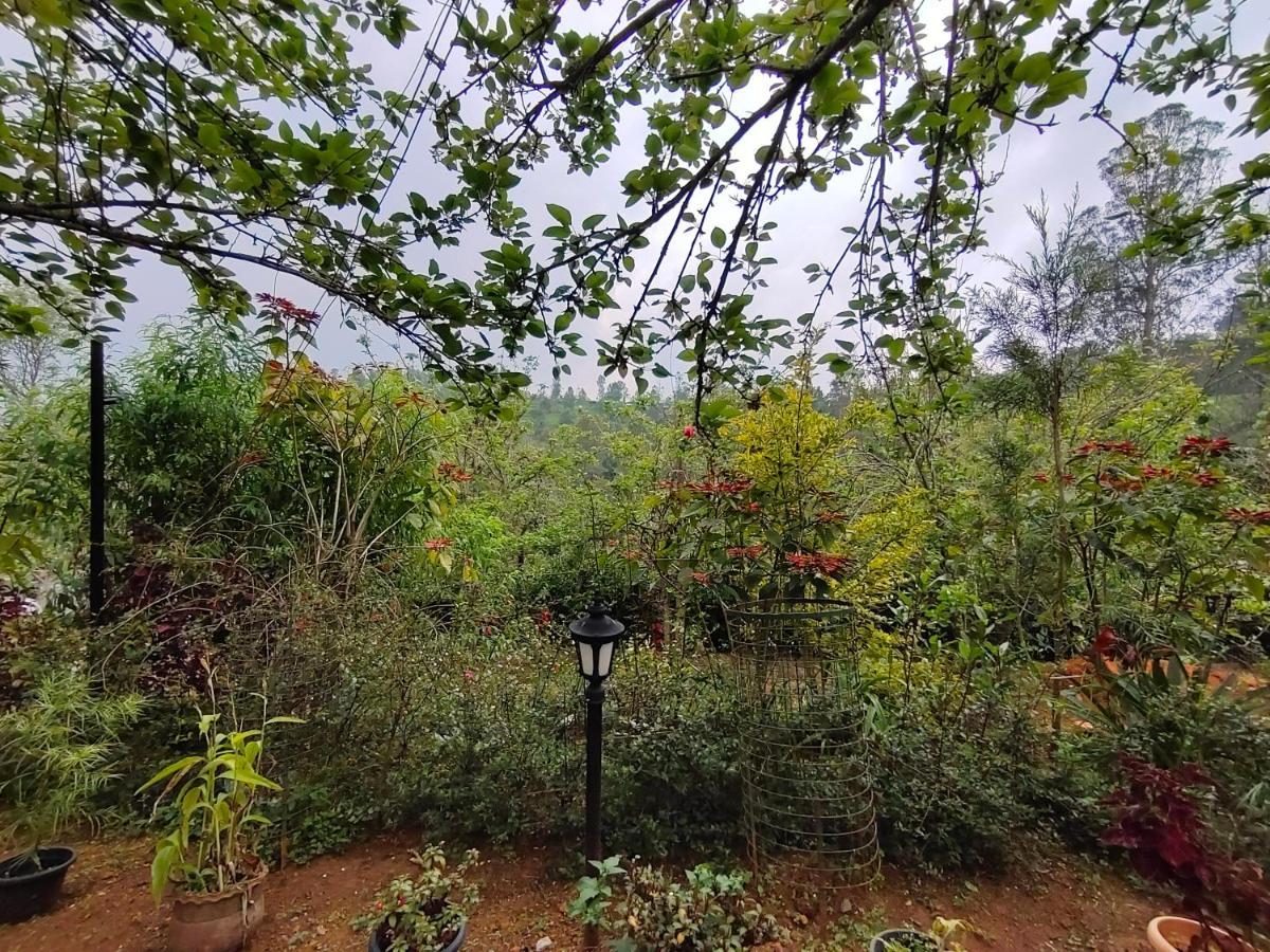 Silver Spruce Entire Nature Villa קוטאגירי מראה חיצוני תמונה