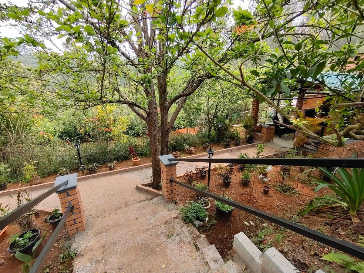 Silver Spruce Entire Nature Villa קוטאגירי מראה חיצוני תמונה