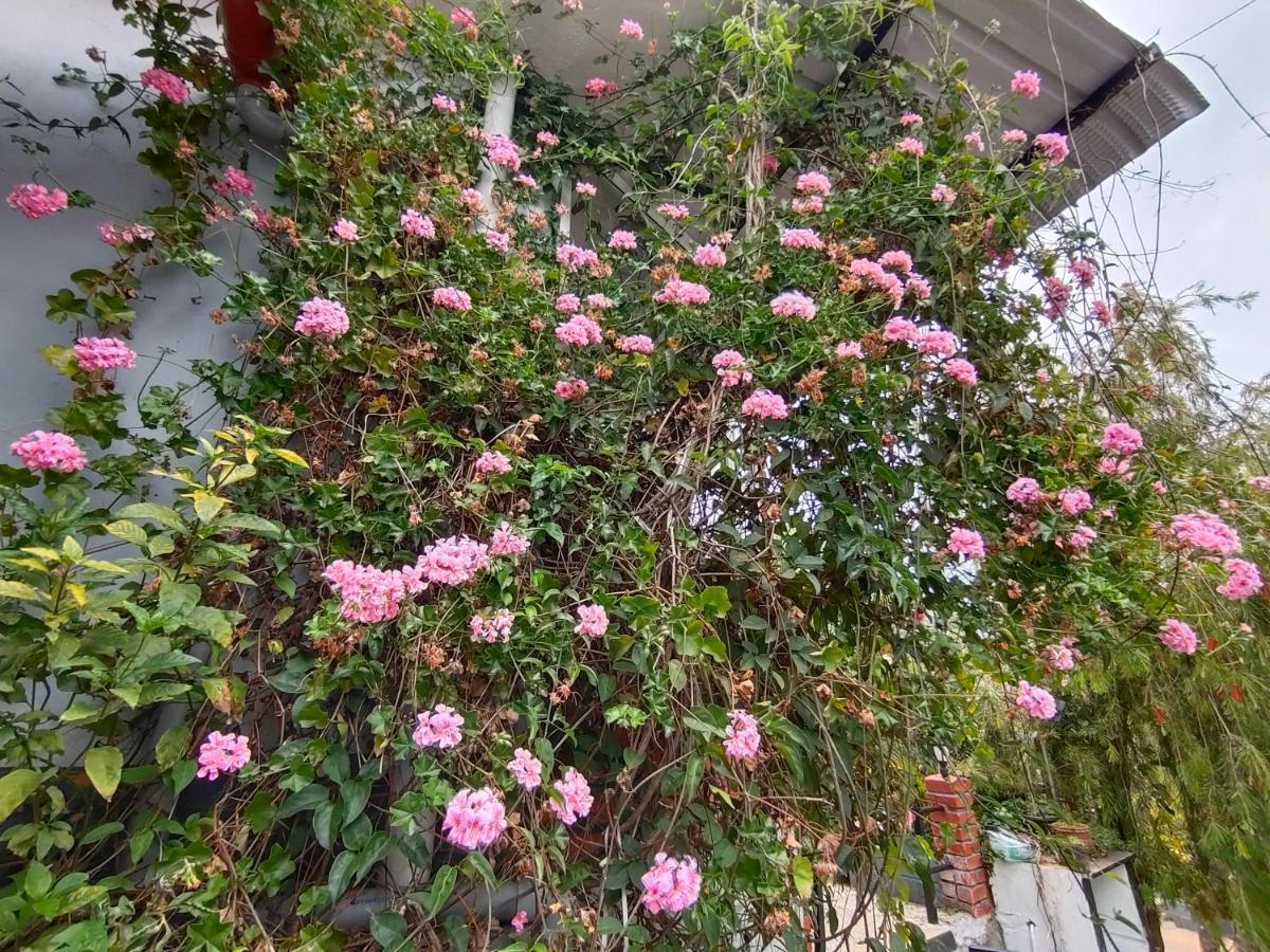 Silver Spruce Entire Nature Villa קוטאגירי מראה חיצוני תמונה