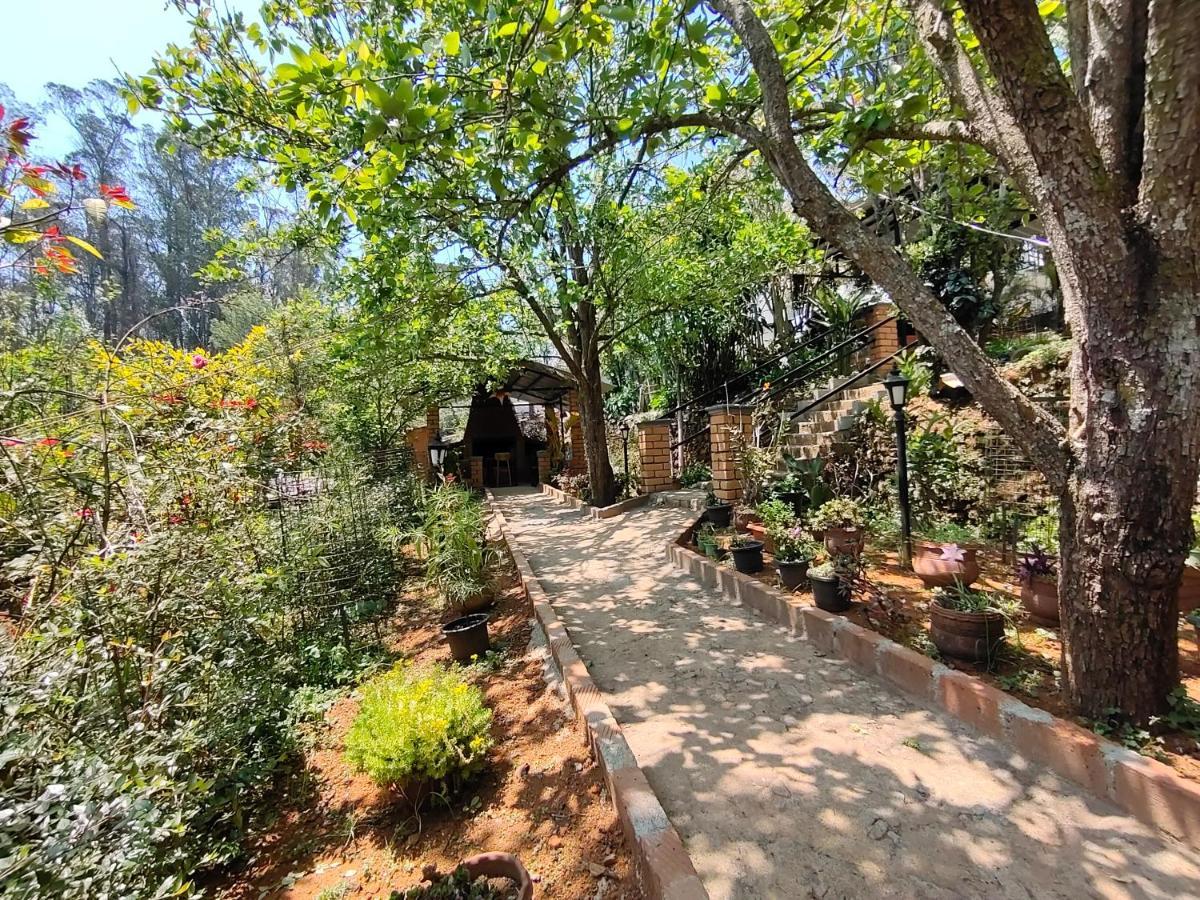Silver Spruce Entire Nature Villa קוטאגירי מראה חיצוני תמונה