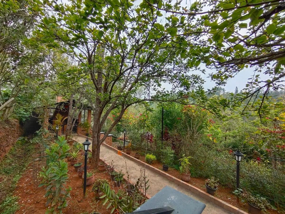 Silver Spruce Entire Nature Villa קוטאגירי מראה חיצוני תמונה