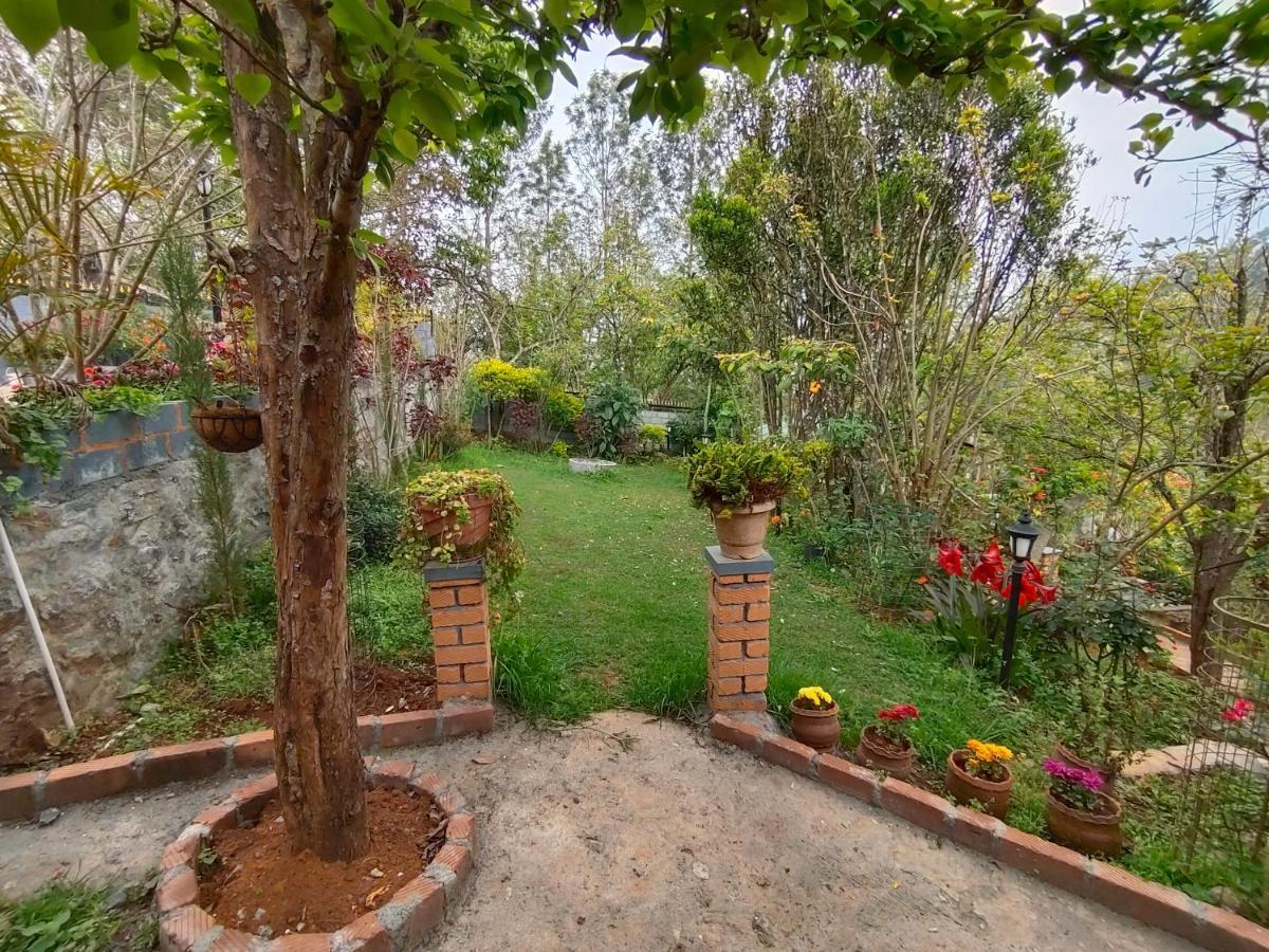 Silver Spruce Entire Nature Villa קוטאגירי מראה חיצוני תמונה