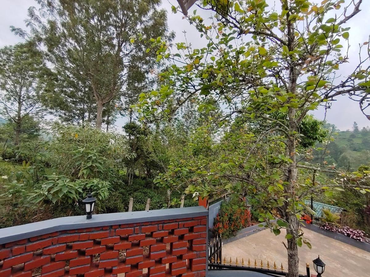 Silver Spruce Entire Nature Villa קוטאגירי מראה חיצוני תמונה