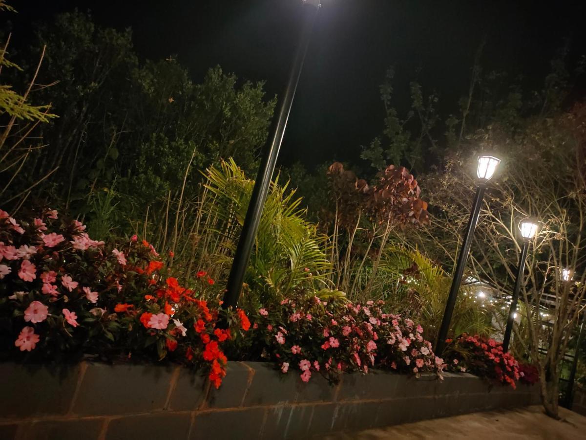 Silver Spruce Entire Nature Villa קוטאגירי מראה חיצוני תמונה
