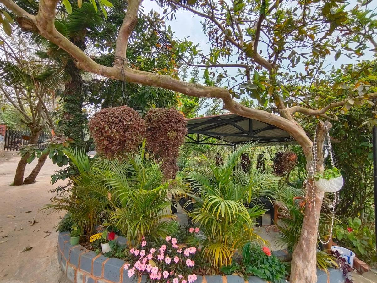 Silver Spruce Entire Nature Villa קוטאגירי מראה חיצוני תמונה
