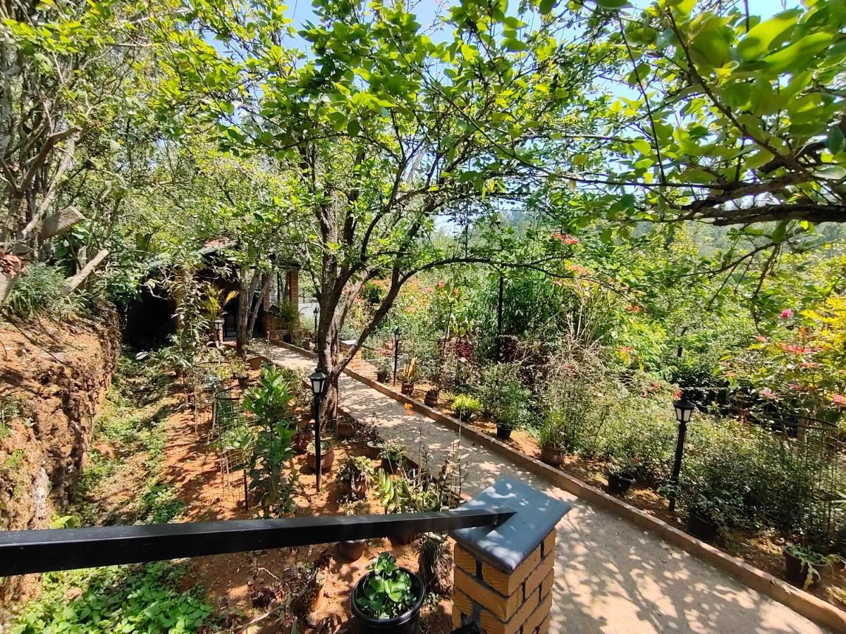 Silver Spruce Entire Nature Villa קוטאגירי מראה חיצוני תמונה