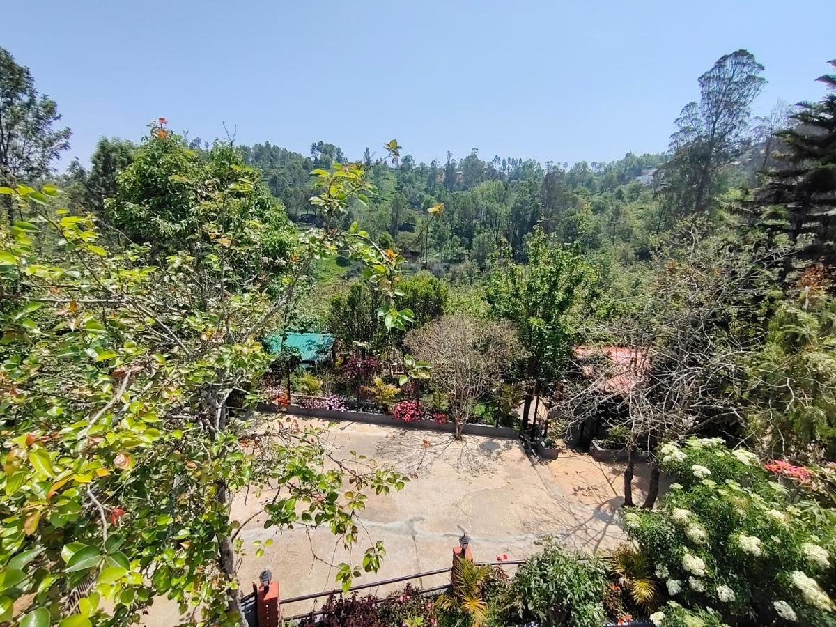 Silver Spruce Entire Nature Villa קוטאגירי מראה חיצוני תמונה