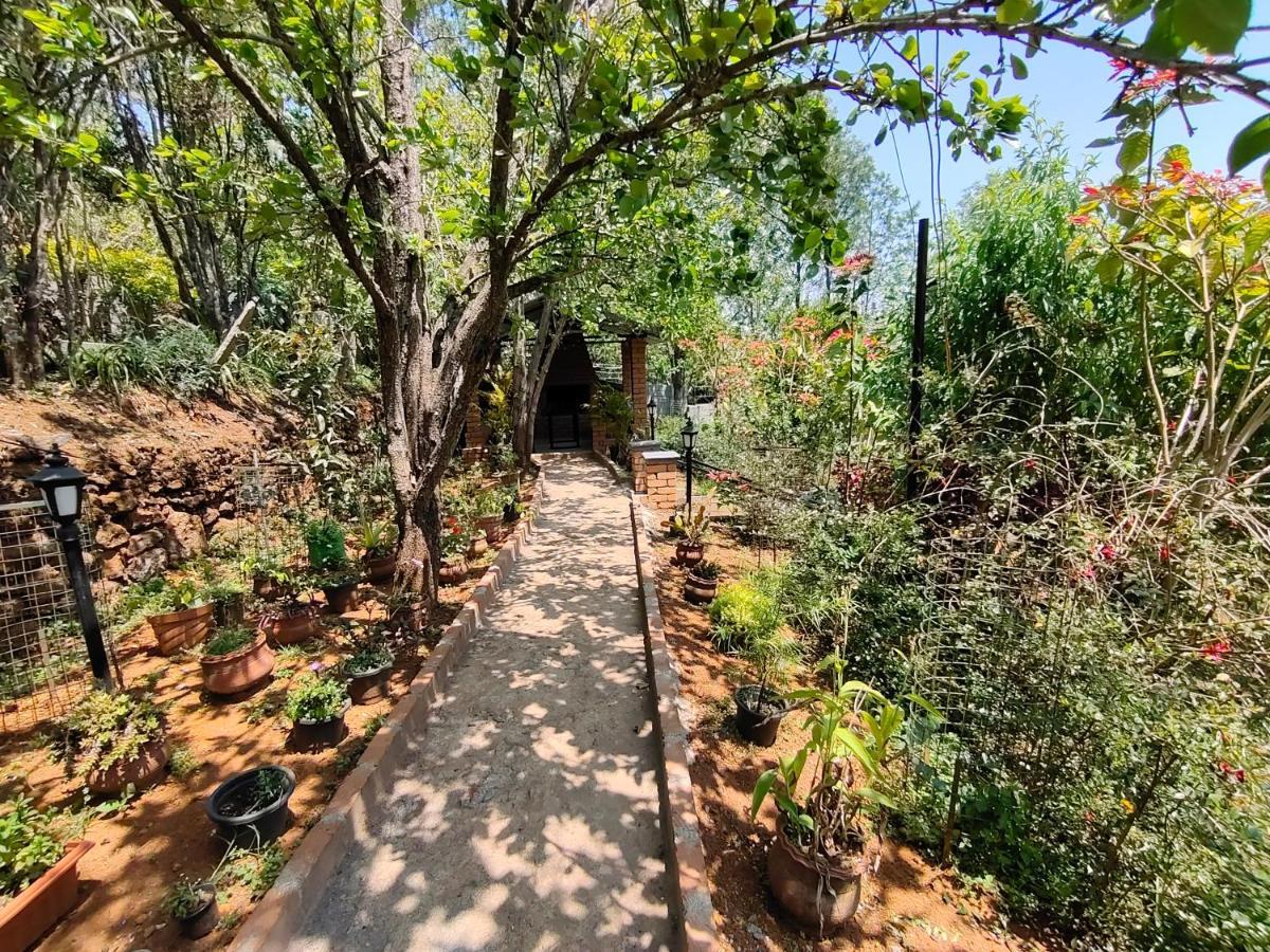 Silver Spruce Entire Nature Villa קוטאגירי מראה חיצוני תמונה