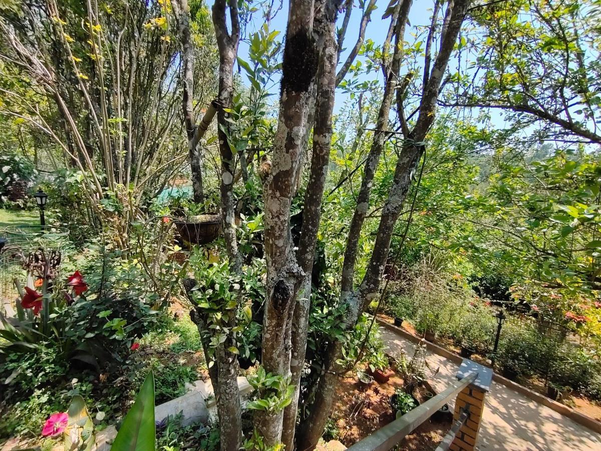 Silver Spruce Entire Nature Villa קוטאגירי מראה חיצוני תמונה