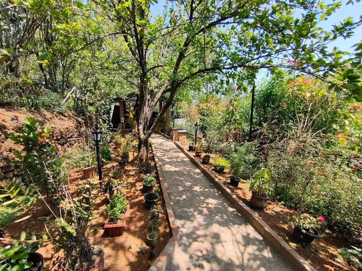 Silver Spruce Entire Nature Villa קוטאגירי מראה חיצוני תמונה